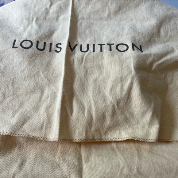 Louis Vuitton Damien Azur Galliera GM - Picture 14 of 14